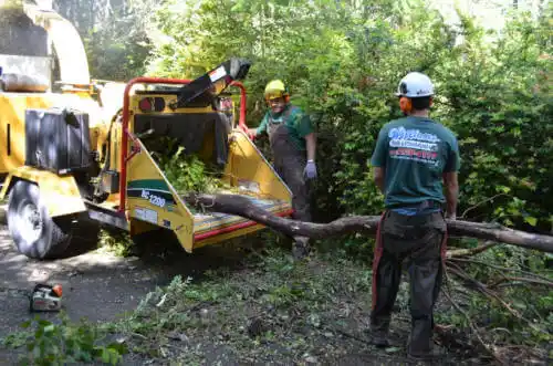 tree services Childersburg